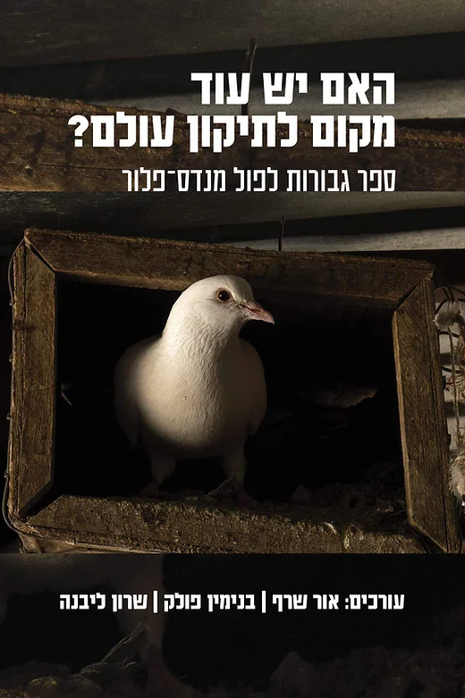 Read more about the article האם יש עוד מקום לתיקון עולם? פירסום חדש בעריכת החוקר שלנו ד”ר אור שרף